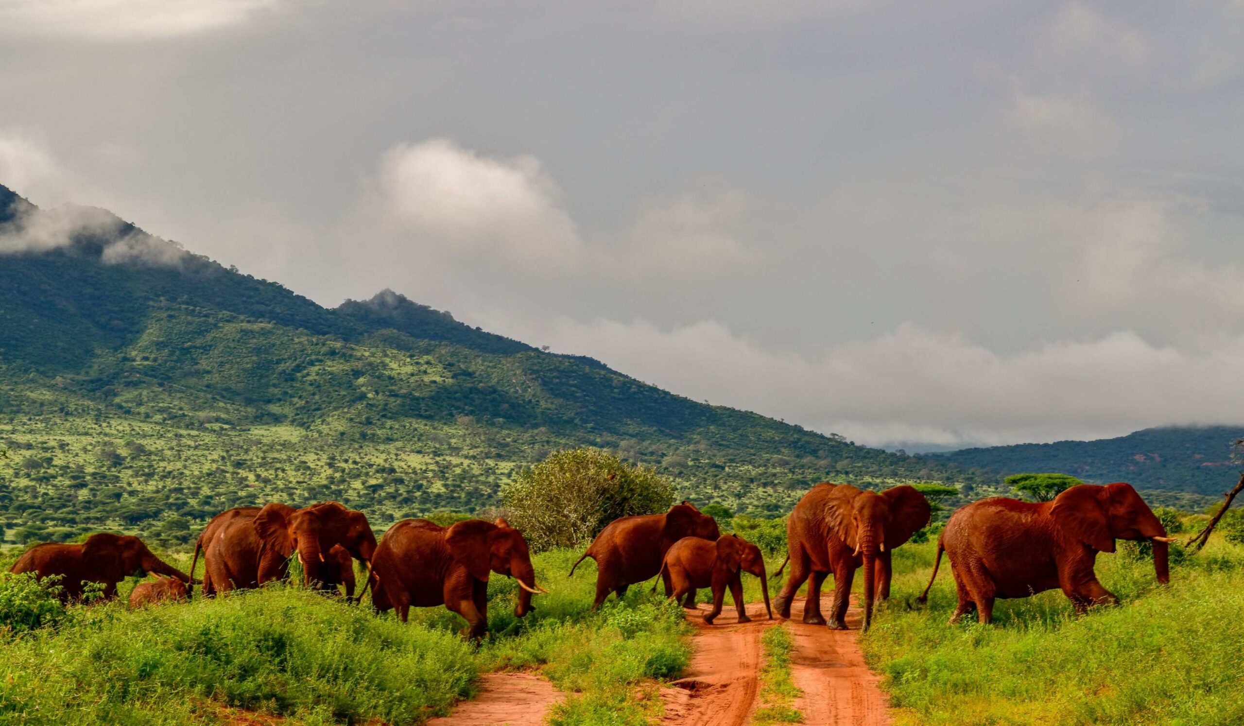Tsavo East National Park