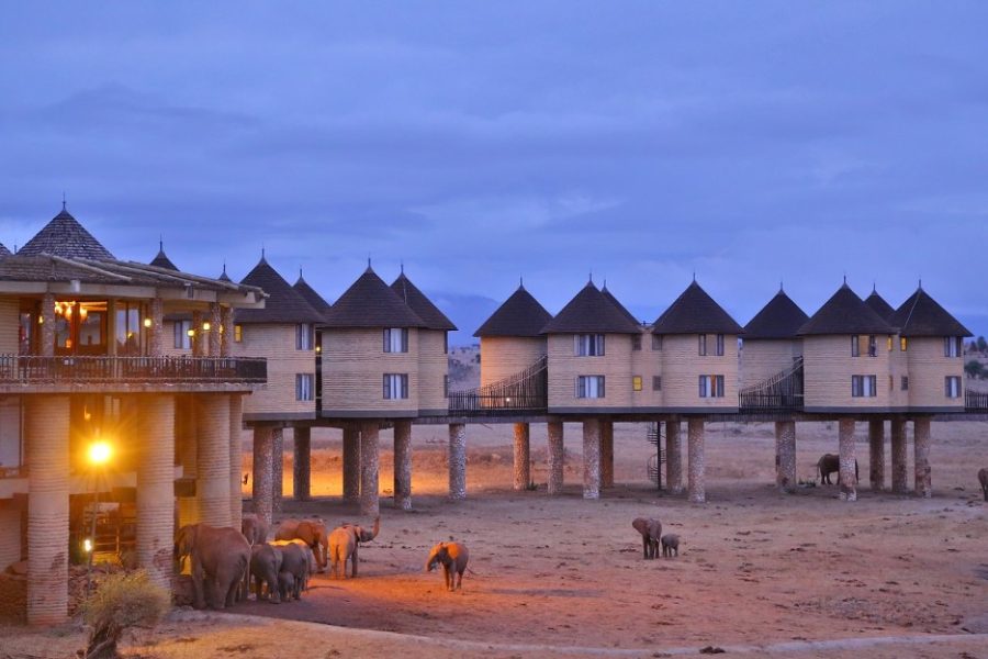 TWO DAYS TSAVO EAST-SALT LICK