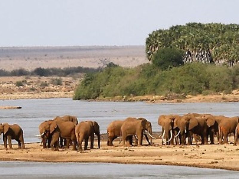 Amboseli