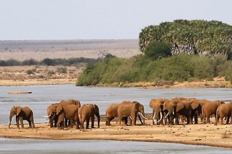 3 DAYS TSAVO WEST- AMBOSELI
