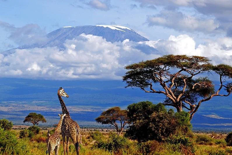DAY 1: ARUSHA 