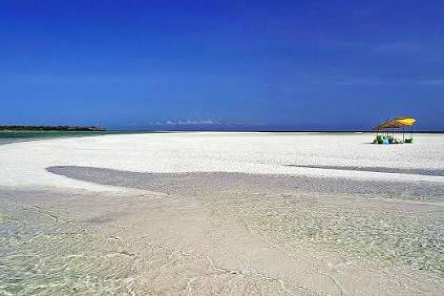 1 DAY KINANZINI, FUNZI ISLAND