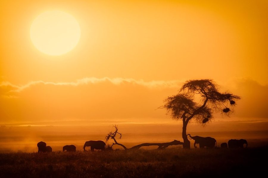 4 DAYS TSAVO WEST – AMBOSELI – TSAVO EAST