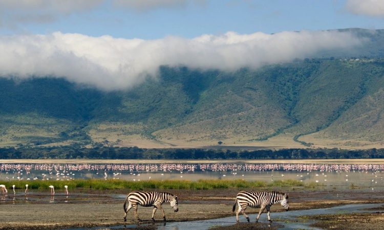  DAY 2: NGORONGORO 