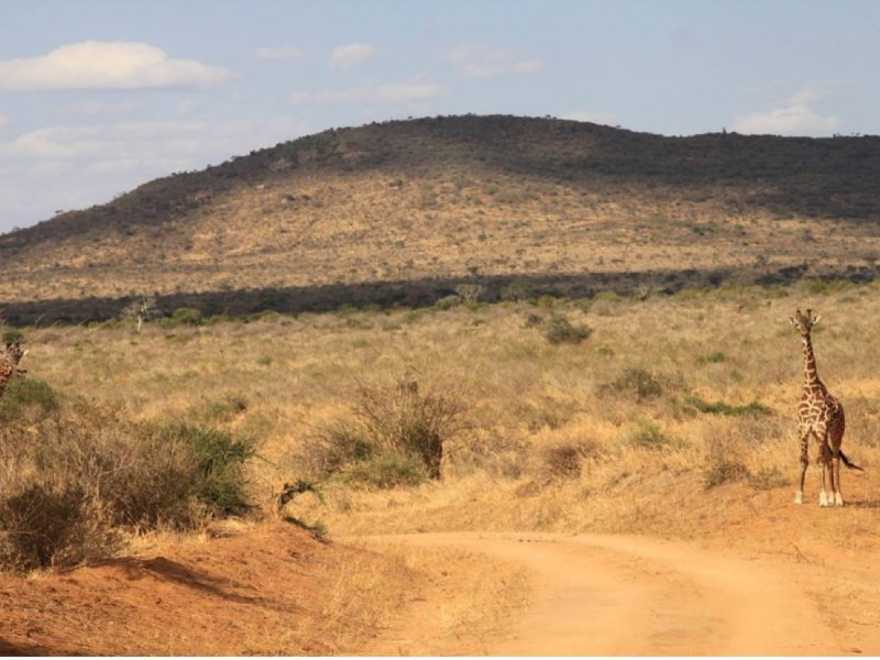 taita-hills