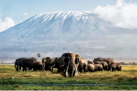 3 DAYS TSAVO EAST – AMBOSELI