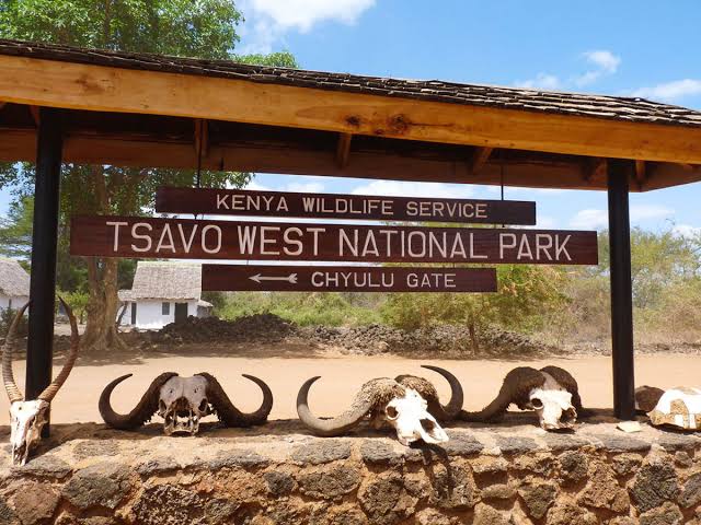 DAY 5: AMBOSELI-TSAVO WEST 
